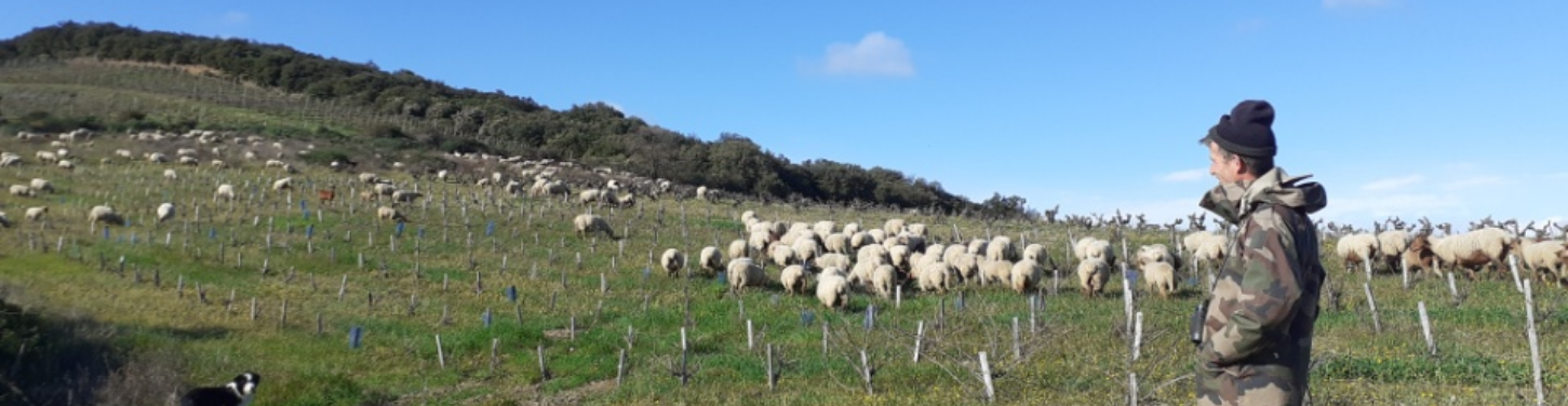 Vivre, s’installer