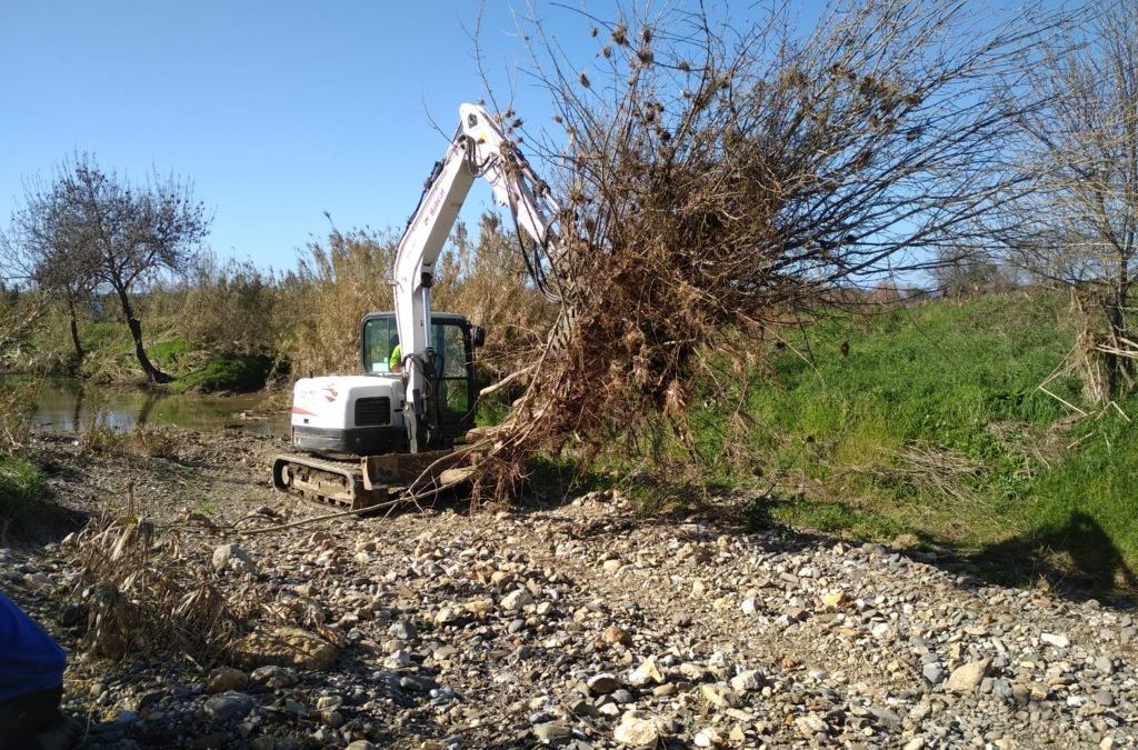 GEMAPI : Allier restauration et prévention