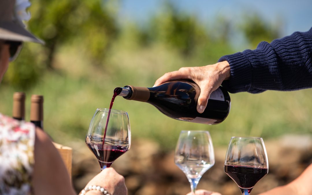 Le 𝐅𝐚𝐬𝐜𝐢𝐧𝐚𝐧𝐭 𝐖𝐞𝐞𝐤-𝐄𝐧𝐝 revient du 19 au 22 Octobre : les rendez-vous dans les Avant-Monts