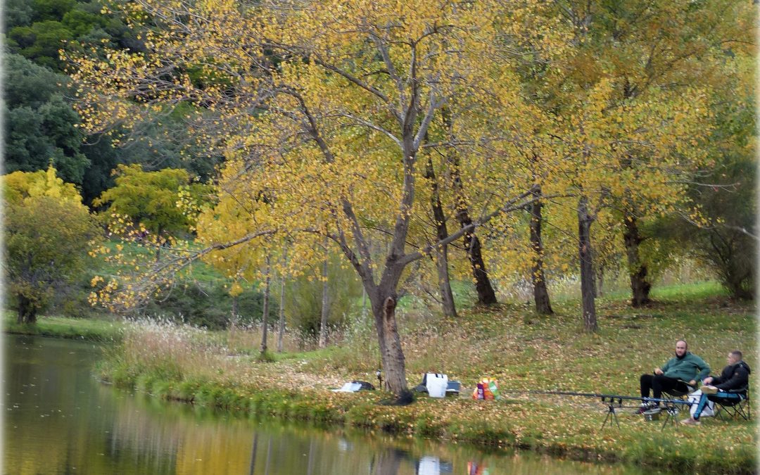 Conseil communautaire : L’aménagement du territoire au centre des débats