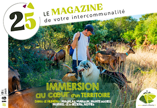 25 – le magazine du territoire – décembre 2025