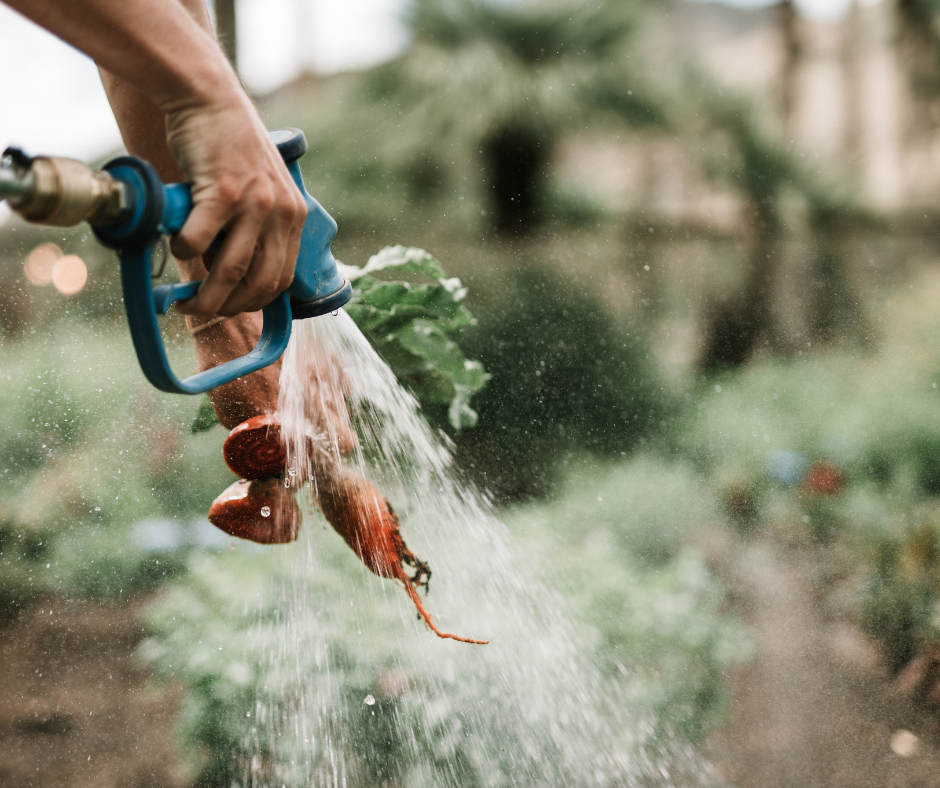 Eau – préserver la ressource