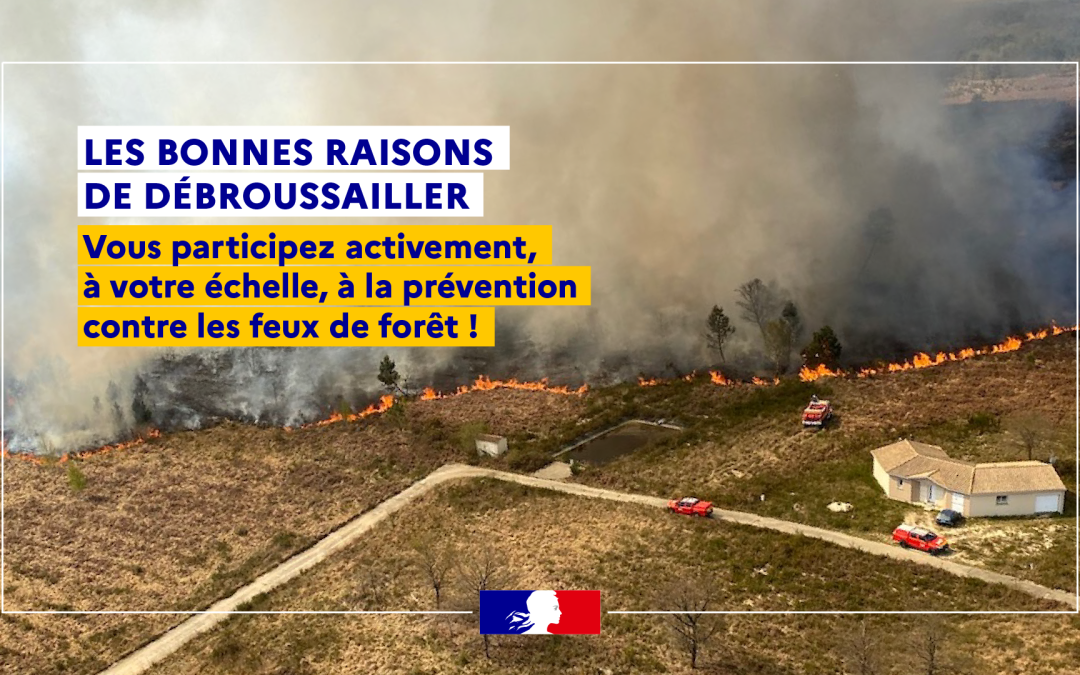 OLD : pourquoi est-il obligatoire de débroussailler ? 