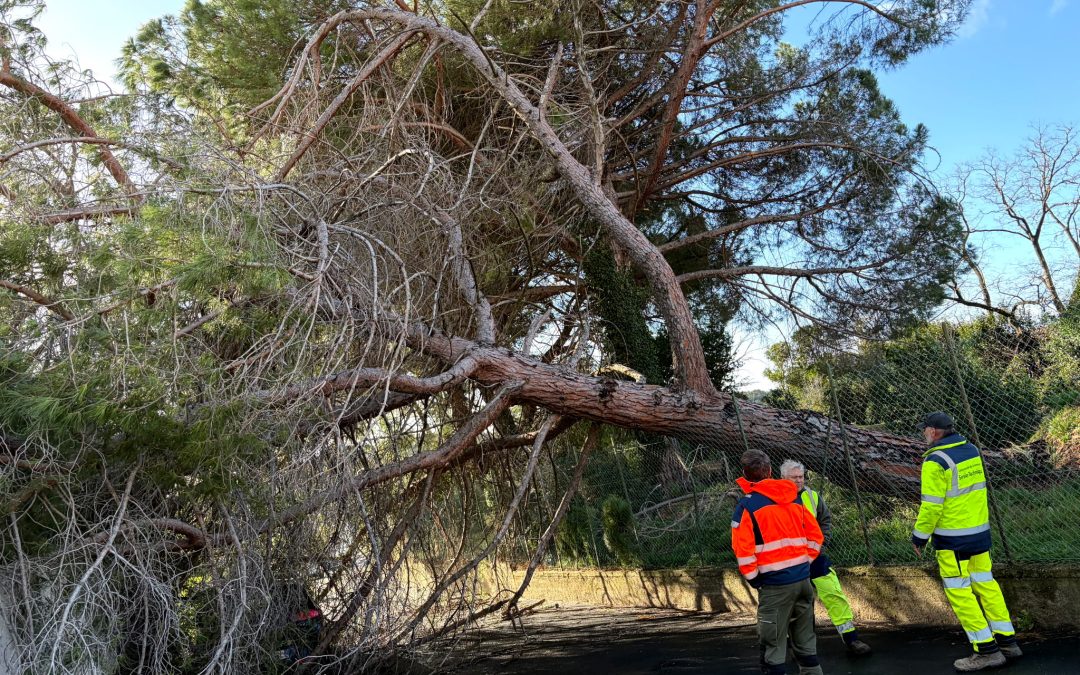 Tempête Nils : les services techniques aux côtés des communes