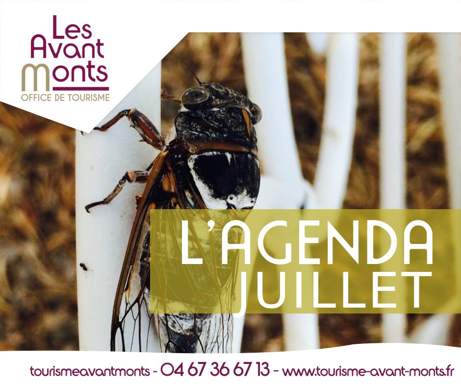 Agenda – Juillet 2026