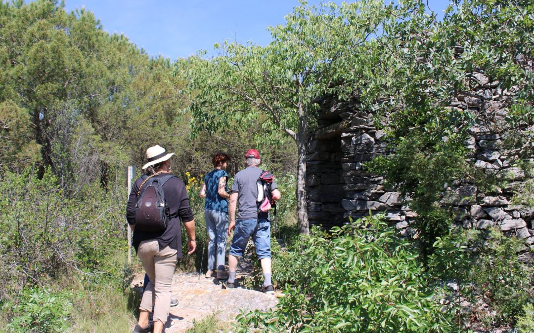 Faugères : pierre sèche, pastoralisme & paysages